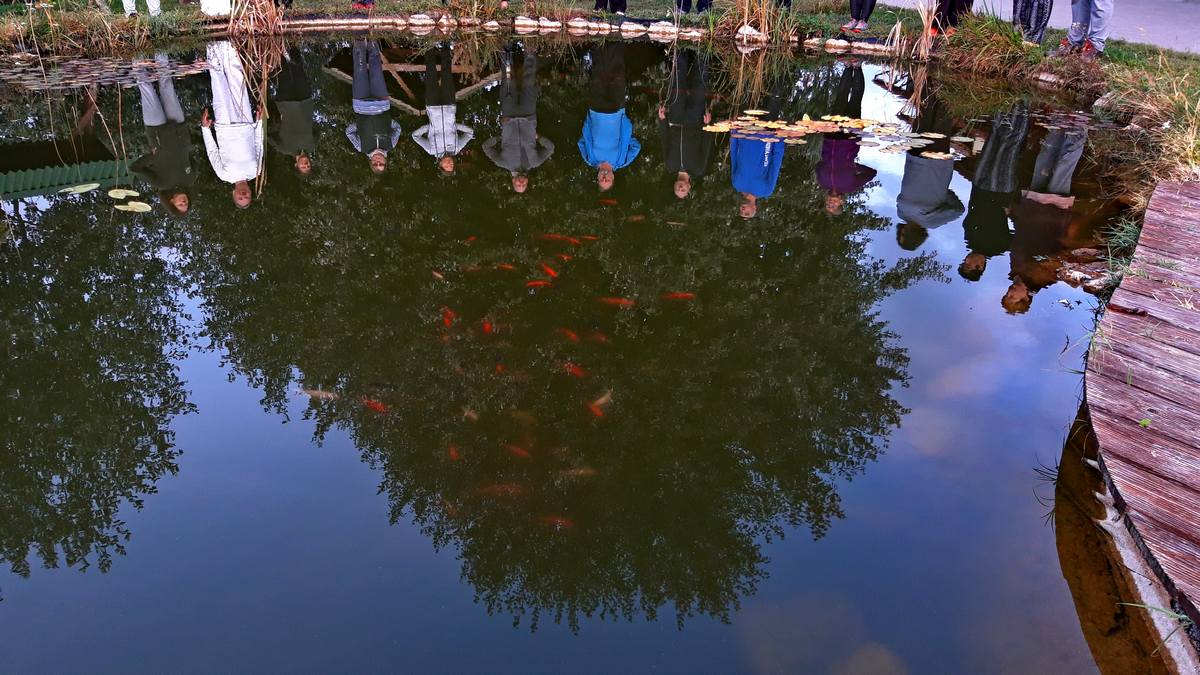 Pilis-titkai intenzív meditációs tábor