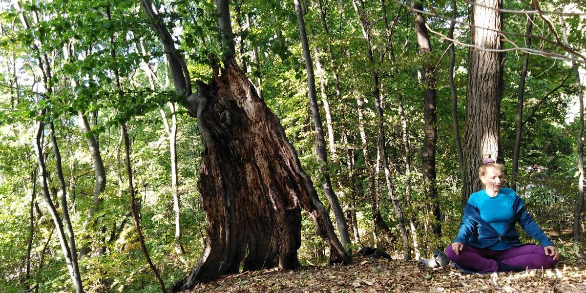 meditáció a természetben, csakra