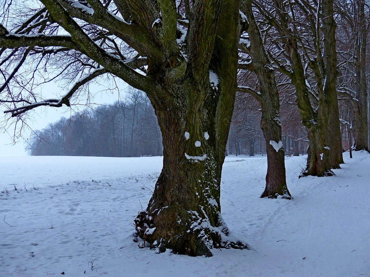 spirituális túrák, Börzsöny, Szűz-Halak, covid, artitis, gyógyulás