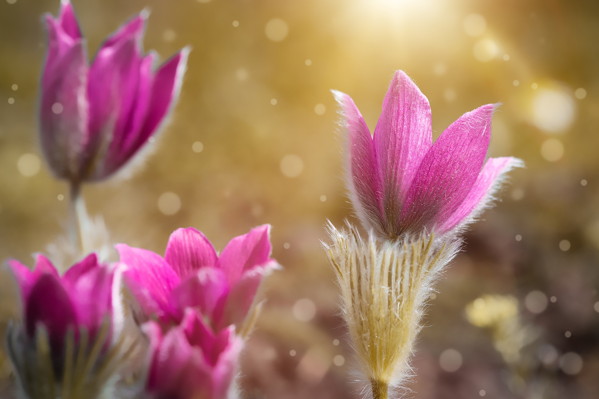 kvantumelmélet, spiritualitás, jóga