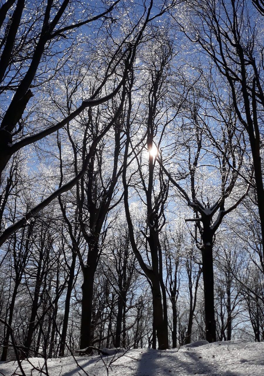 spirituális túrák, meditáció, zarándoklat, covid, Noé, artitisz